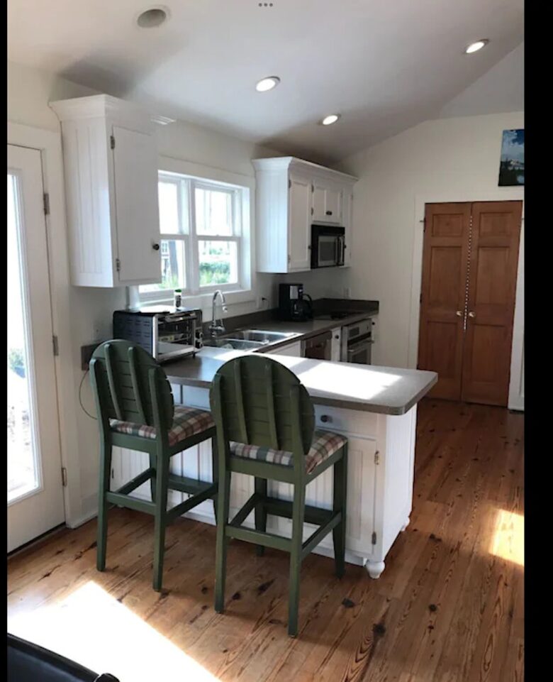 Seaside Flamingo - Daufuskie Island, South Carolina