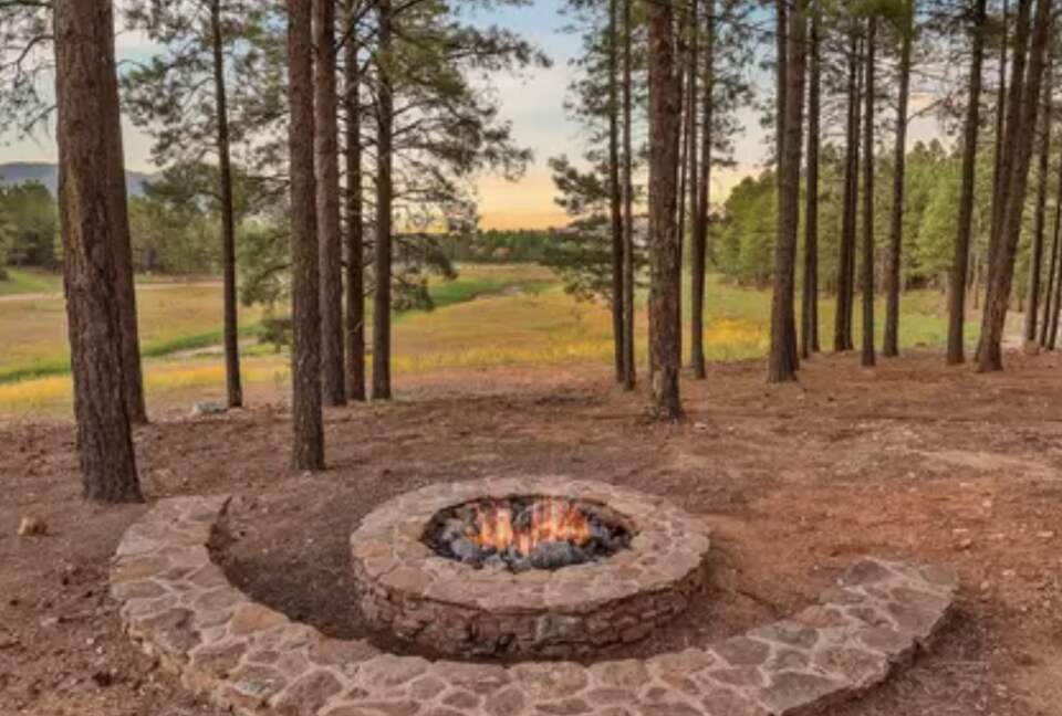 Fire pit