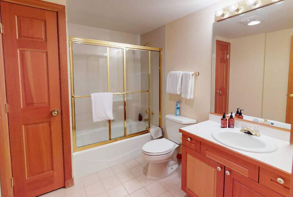 Guest bathroom