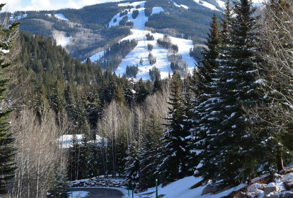 Views of Beaver Creek