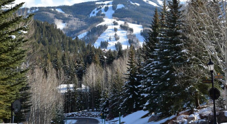Views of Beaver Creek