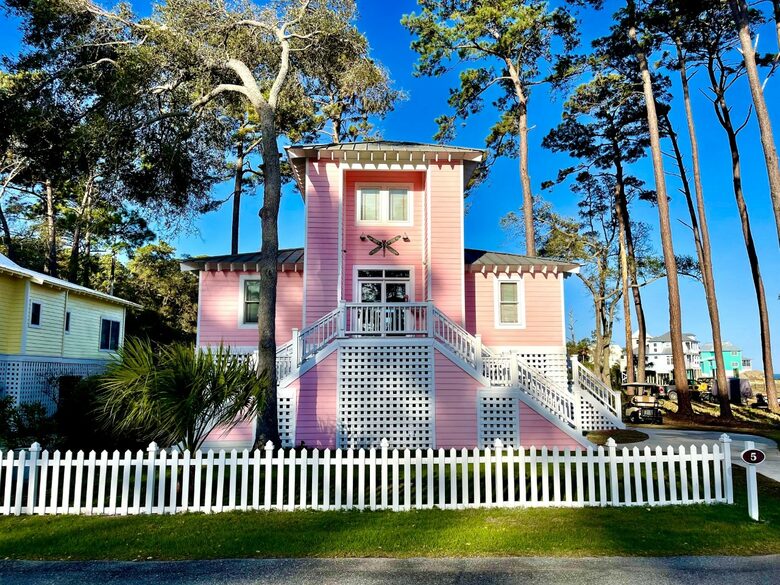 Seaside Flamingo - Daufuskie Island, South Carolina