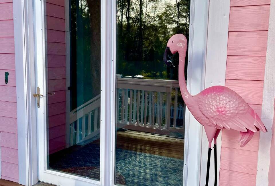 Seaside Flamingo - Daufuskie Island, South Carolina