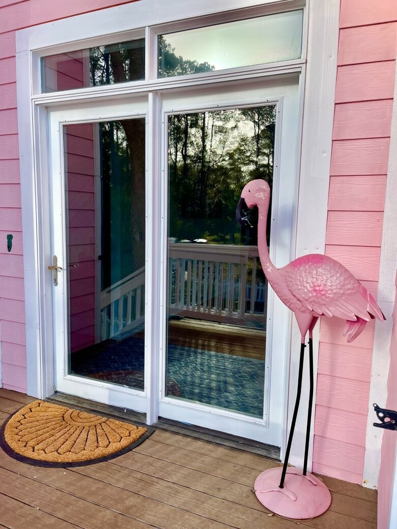 Seaside Flamingo - Daufuskie Island, South Carolina