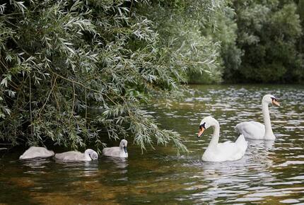 Northbow Lodge - Lechlade, United Kingdom