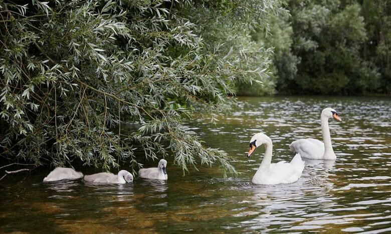 Northbow Lodge - Lechlade, United Kingdom