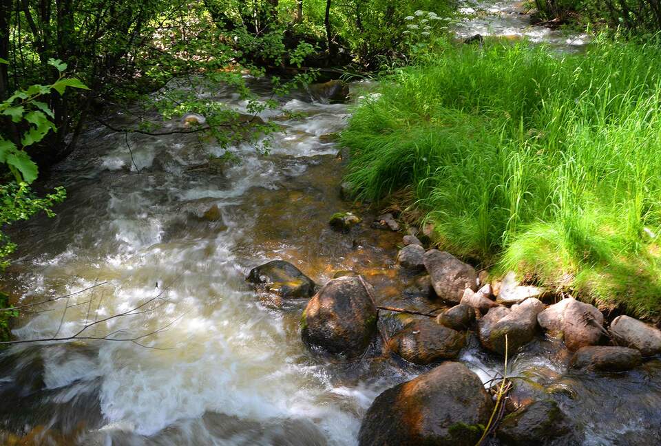 Home Exchange in Beaver Creek, CO, creek by building