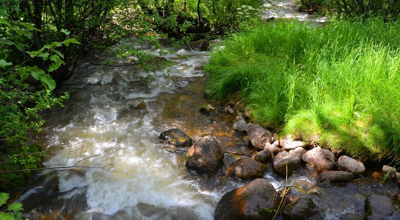 Home Exchange in Beaver Creek, CO, creek by building