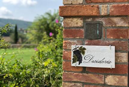 Desiderio Villa - Paciano, Italy