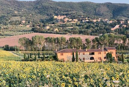Desiderio Villa - Paciano, Italy