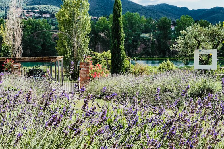 Desiderio Villa - Paciano, Italy
