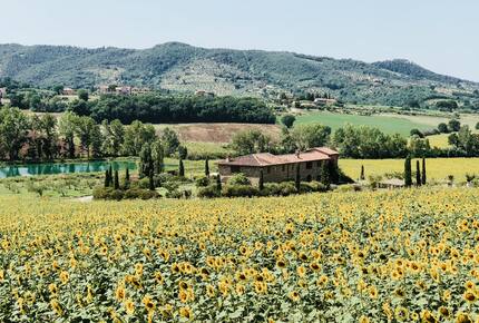 Desiderio Villa - Paciano, Italy