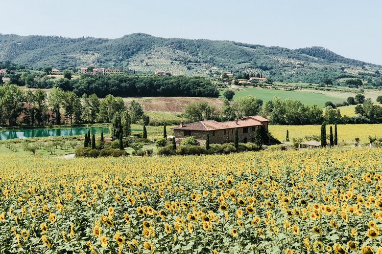 Desiderio Villa - Paciano, Italy