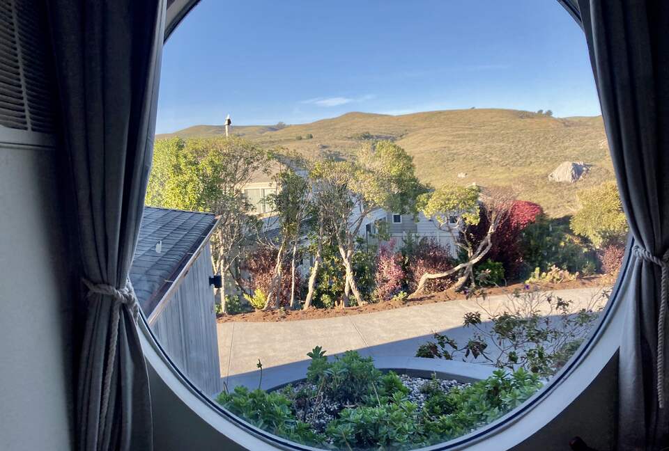 View of second story planter & hillside out picture window.