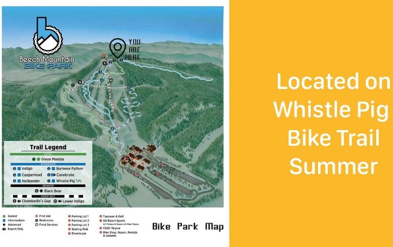 Sky High Adventures - Ski-in/Ski-out - Beech Mountain, North Carolina