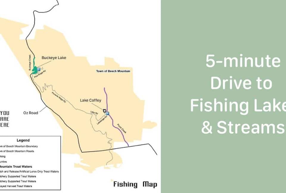 Sky High Adventures - Ski-in/Ski-out - Beech Mountain, North Carolina