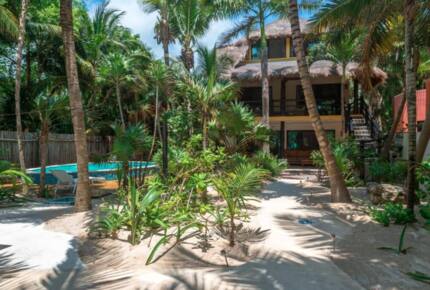 Exterior of home with palm trees and pool
