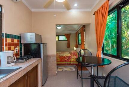 Studio apartment kitchenette