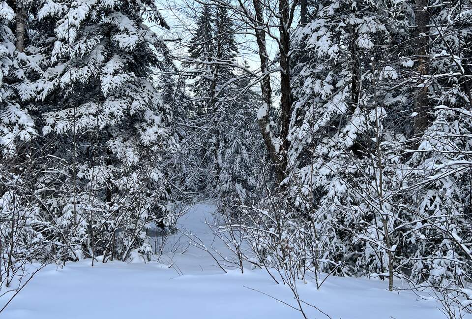 Amazing Canadian Experience - Saint-Adolphe-d'Howard, Canada