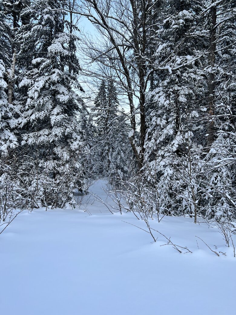 Amazing Canadian Experience - Saint-Adolphe-d'Howard, Canada