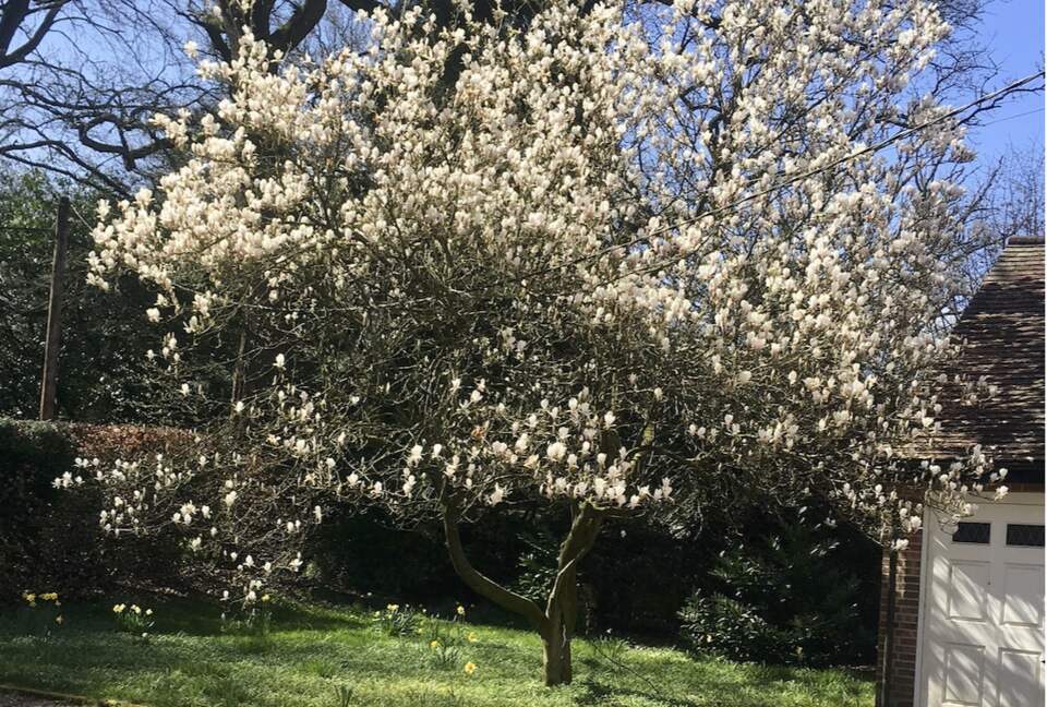 Cherrywood - Great Missenden, United Kingdom