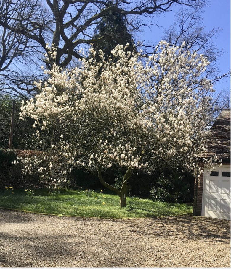 Cherrywood - Great Missenden, United Kingdom