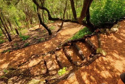 Living Above Austin Luxury Home - Austin, Texas