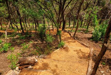 Living Above Austin Luxury Home - Austin, Texas