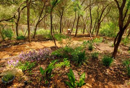 Living Above Austin Luxury Home - Austin, Texas