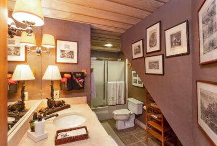 Happy Squirrel Cabin - Aspen, Colorado