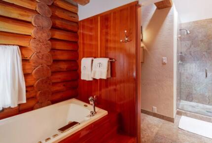 Happy Squirrel Cabin - Aspen, Colorado