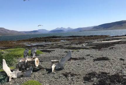 The Owl House - Hvalfjardarsveit, Iceland