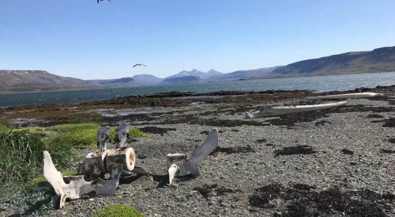 The Owl House - Hvalfjardarsveit, Iceland
