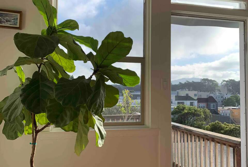 Home Exchange in San Francisco, CA, views from second floor balcony