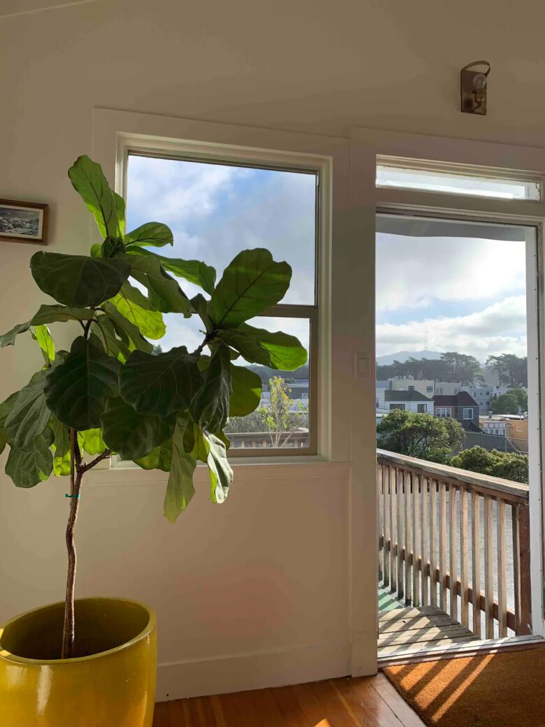 Home Exchange in San Francisco, CA, views from second floor balcony