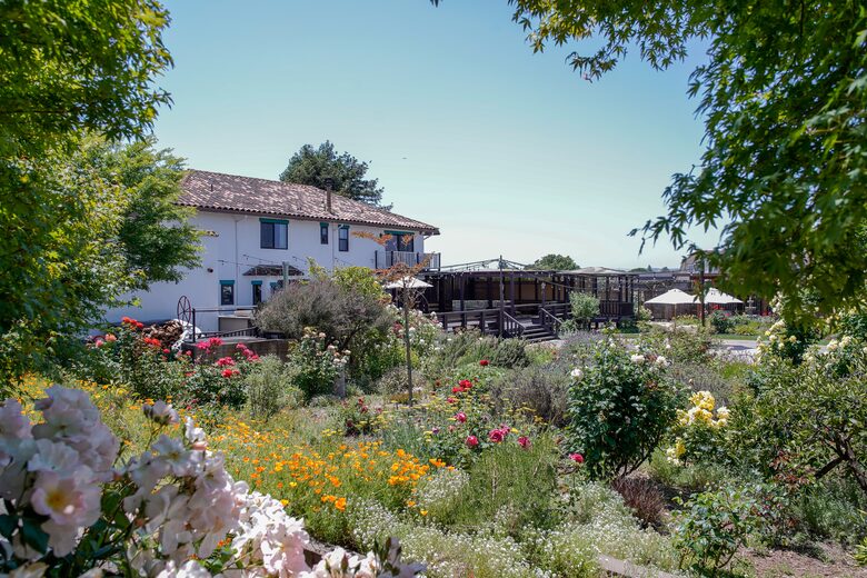 Home Exchange in Napa, CA stunning flowers all around the property