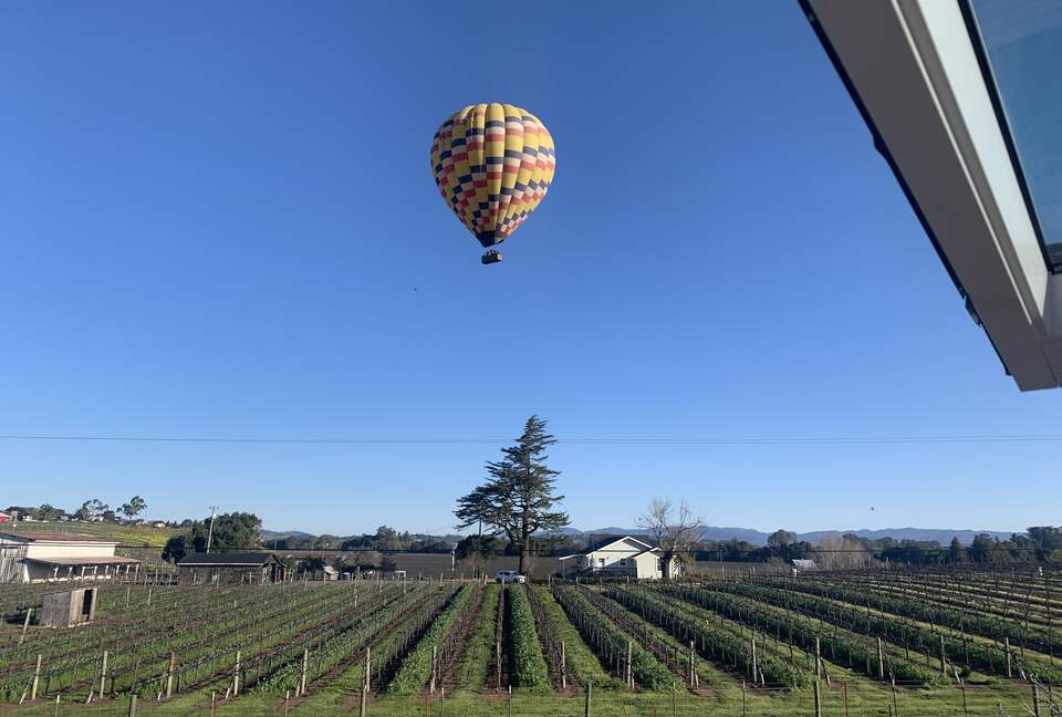 Hacienda Las Amigas - Napa, California