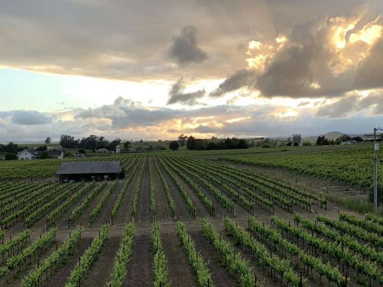 Home Exchange in Napa, CA stunning views of the vineyard