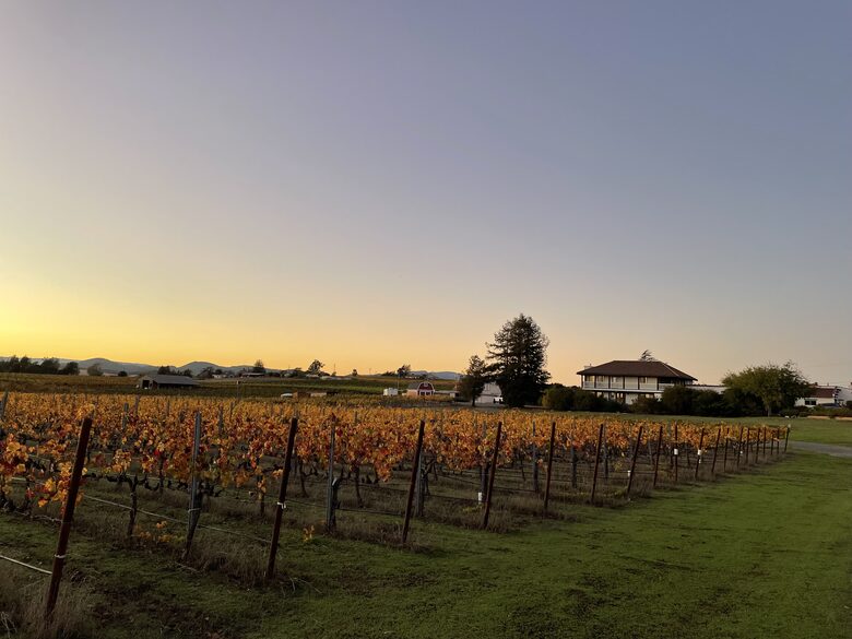 Home Exchange in Napa, CA incredible vineyard views