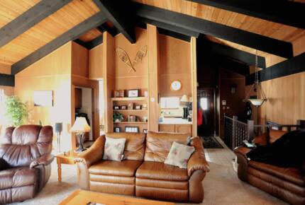 Living room with vaulted ceiling