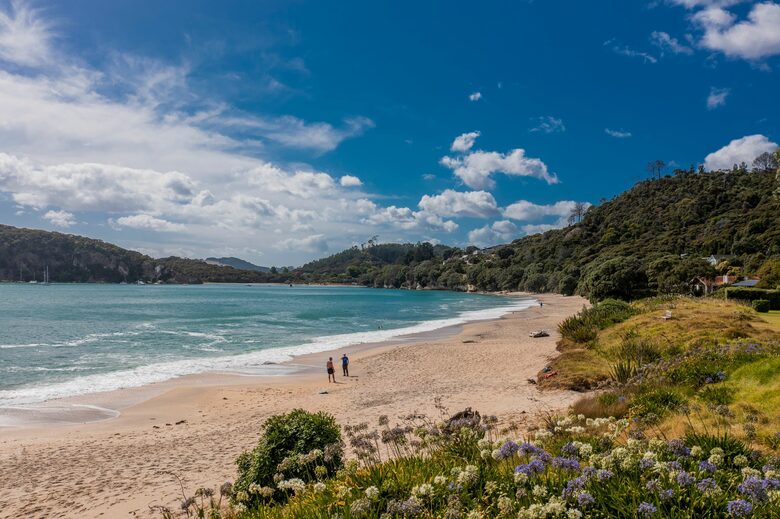 Home Exchange in Ferry Landing, Waikato, NZ