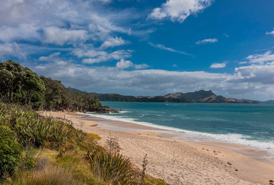 Home Exchange in Ferry Landing, Waikato, NZ beach