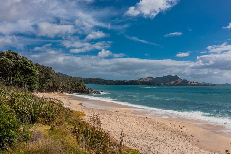 Home Exchange in Ferry Landing, Waikato, NZ beach