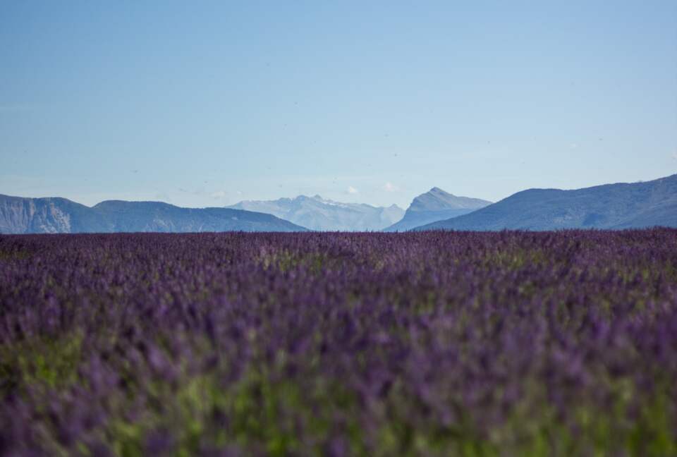 Home Exchange in Uchaux, Provance, France
