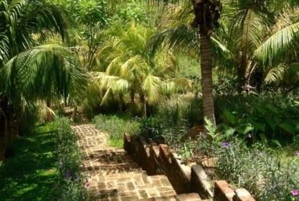 Home Exchange in Tola, Rivas, Nicaragua incredible living