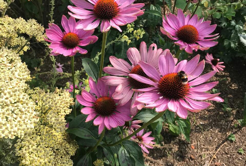 Brook House - Wincanton, United Kingdom