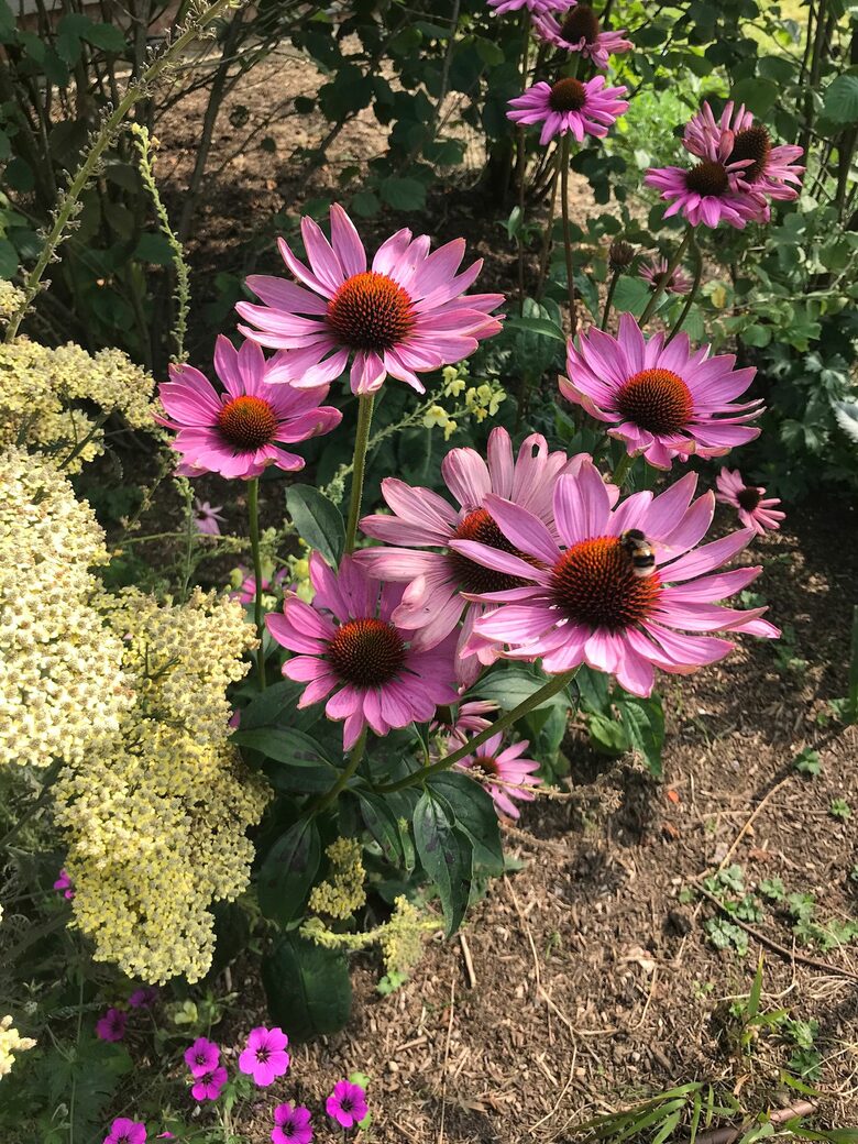 Brook House - Wincanton, United Kingdom