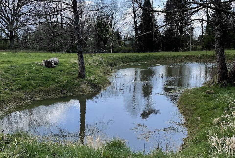 Brook House - Wincanton, United Kingdom