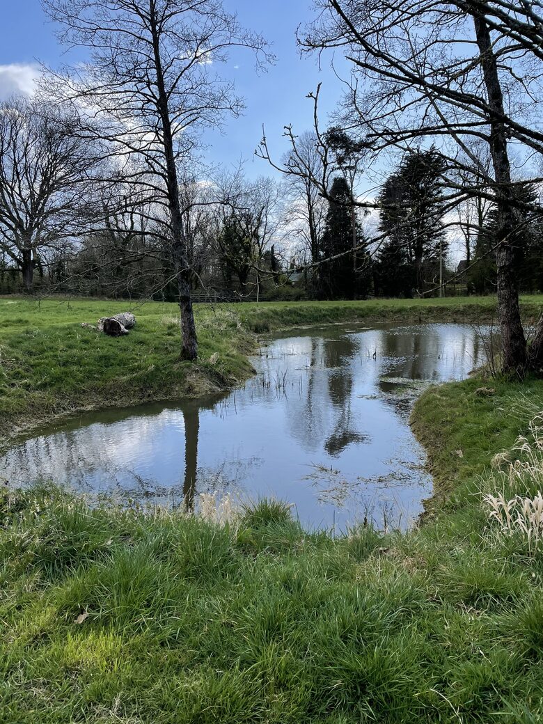 Brook House - Wincanton, United Kingdom
