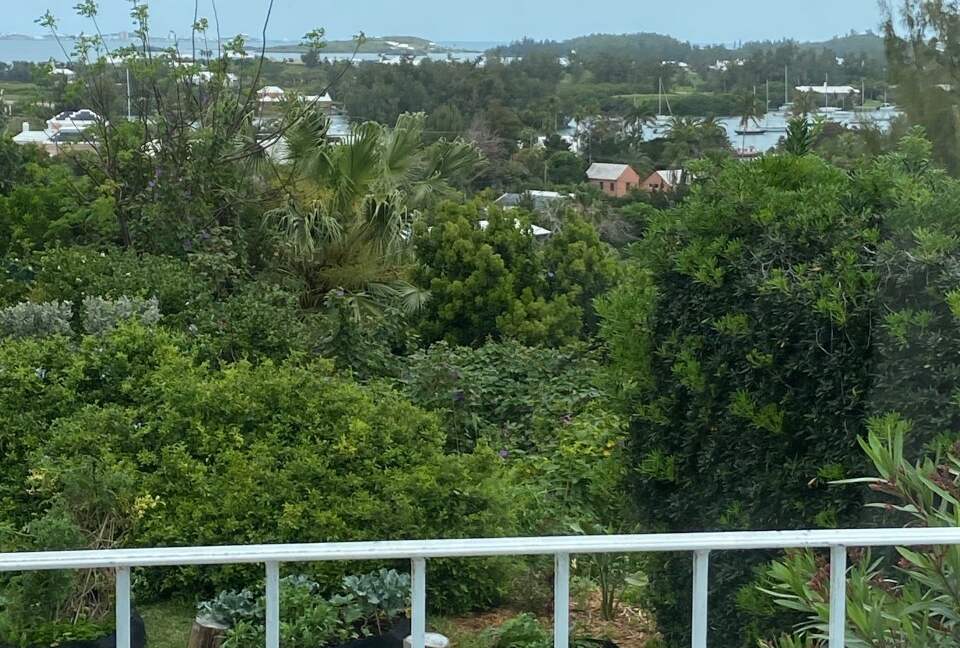 Bermuda Poolside Cottage - Southampton, Bermuda